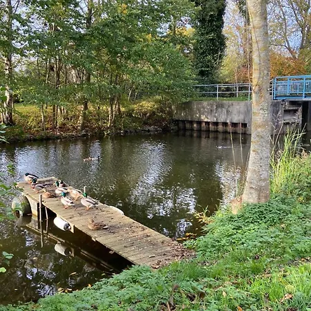 Διαμέρισμα Loftwohnung 1 Simmerdeis An Der Gracht *